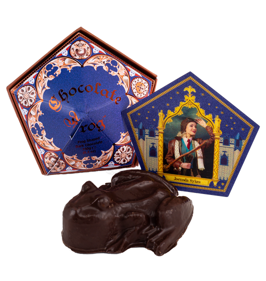 Dark Chocolate Frog - with authentic film packaging