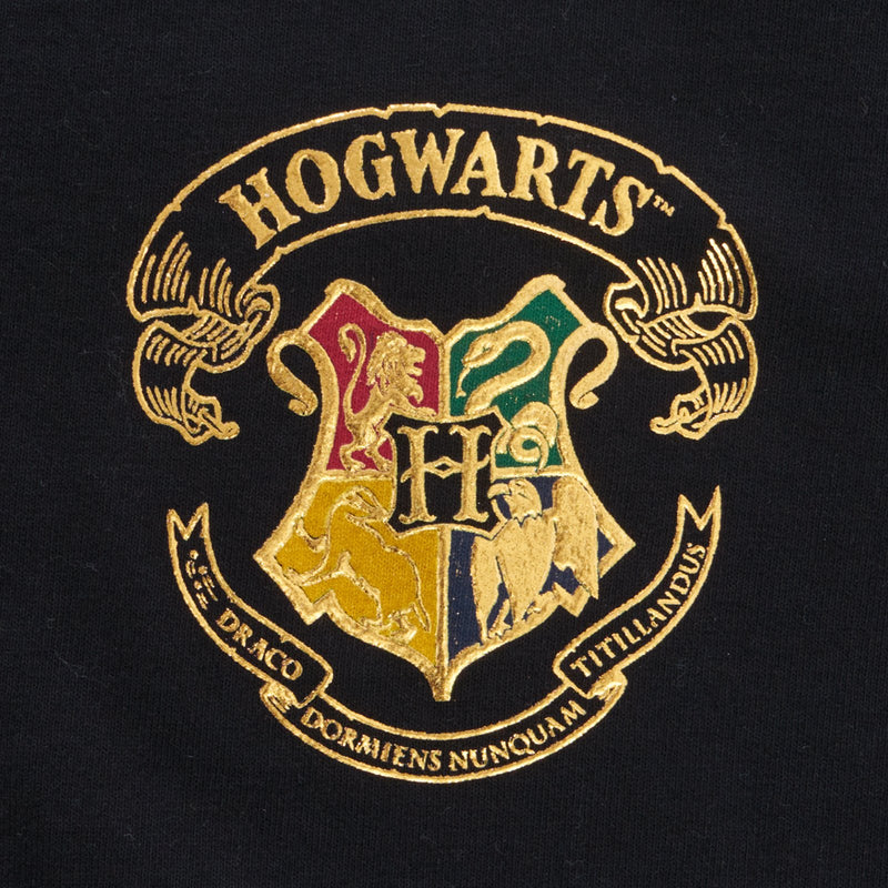 Hogwarts Spirit Jersey crest