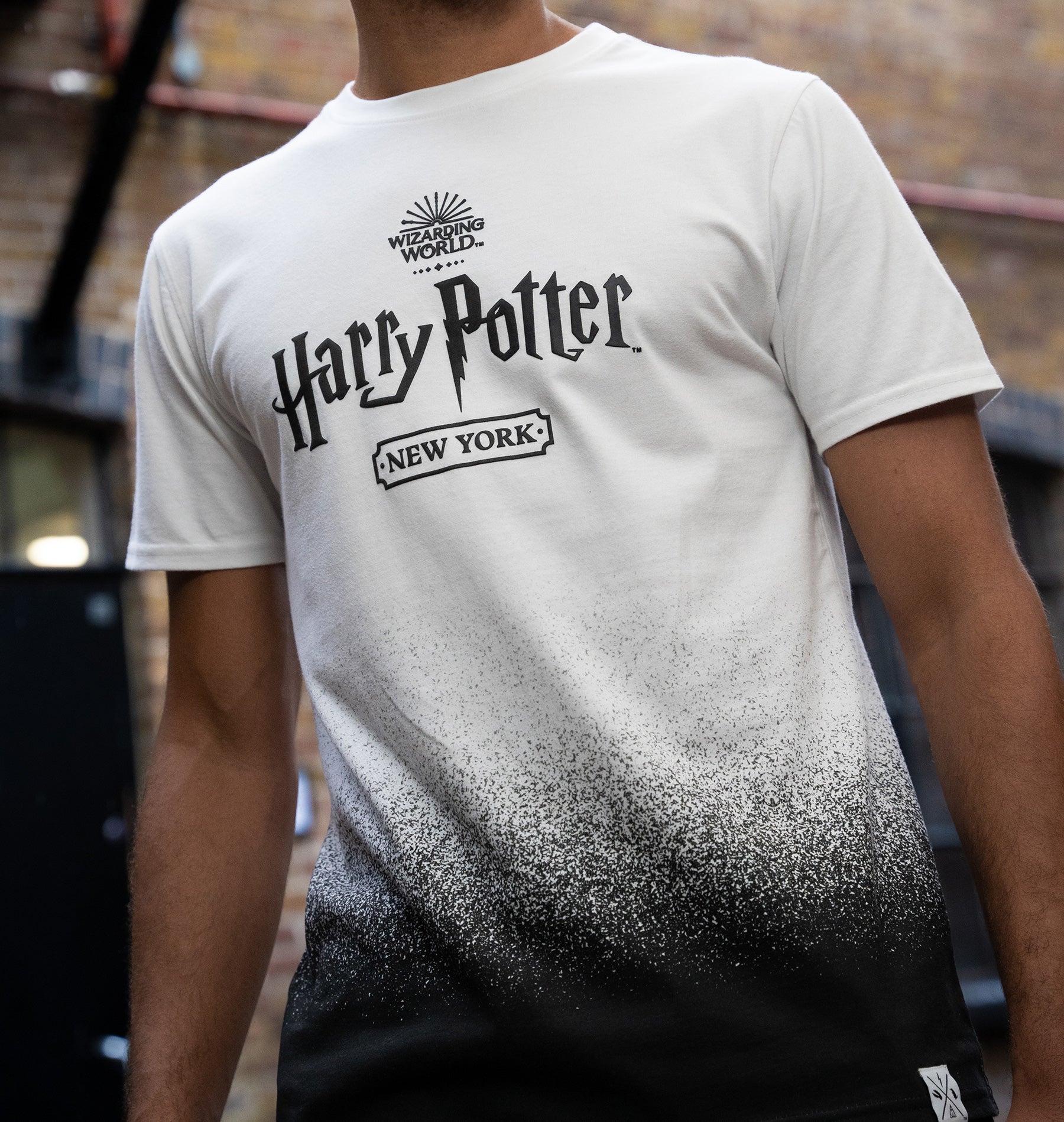 Harry Potter New York Ombre Tee