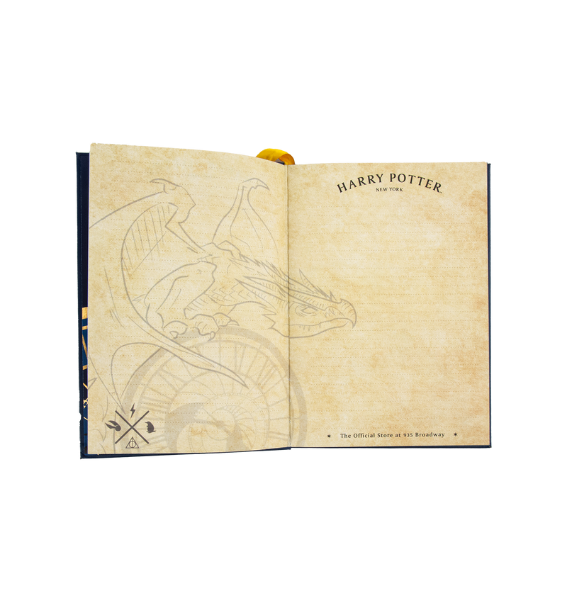 Harry Potter NYC Dragon Notebook
