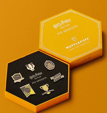 Harry Potter Pin Seeking | Harry Potter Shop USA