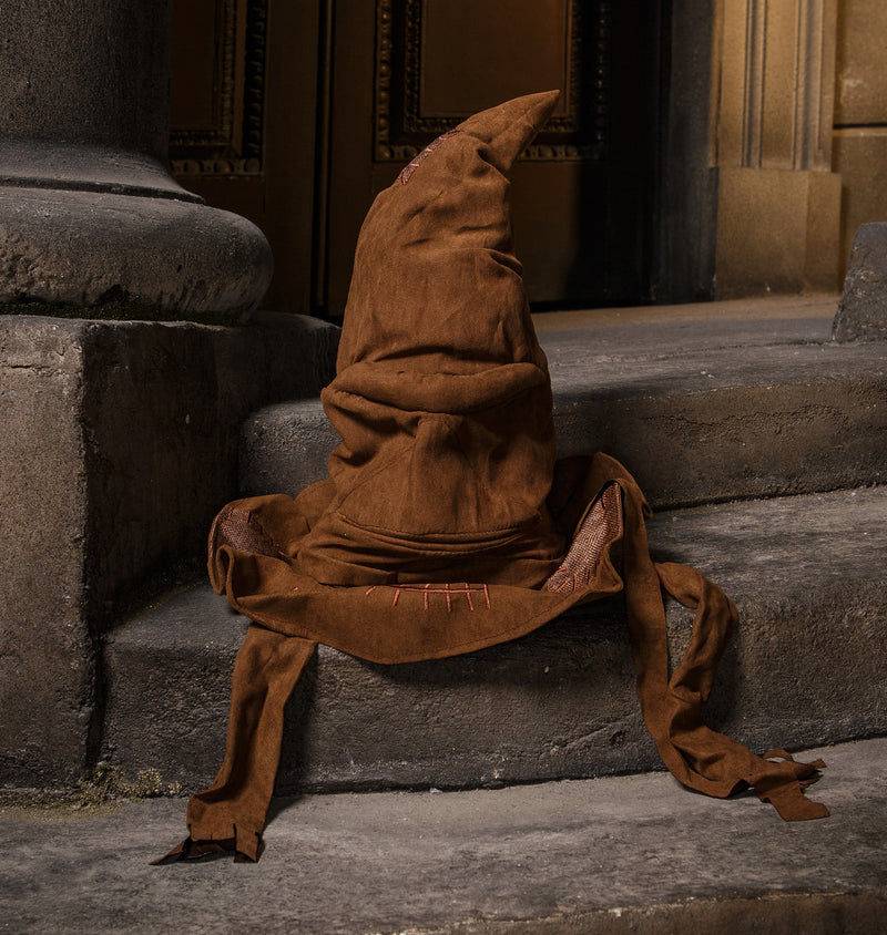 Harry Potter Hat